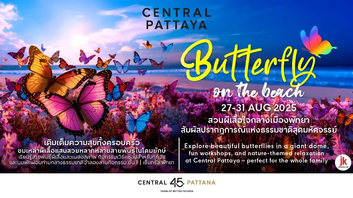 Butterfly on the Beach